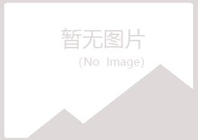 安图县夜山水泥有限公司